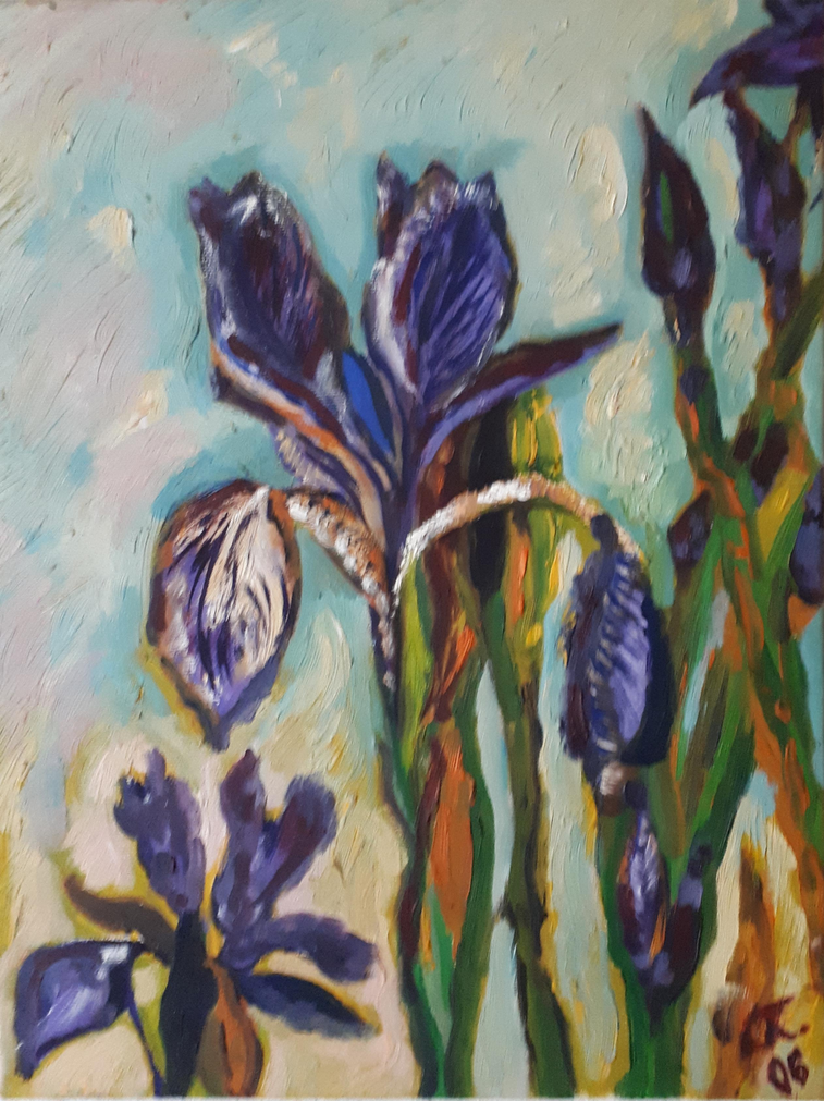 Iris / Öl