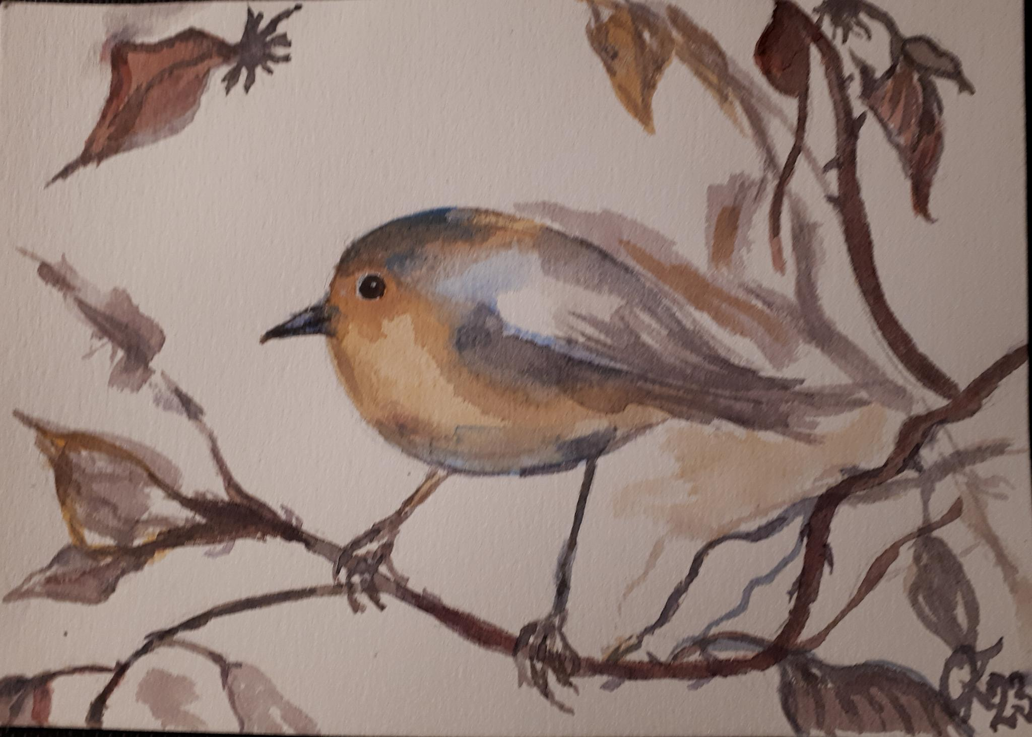 Träumendes Rotkehlchen / Aquarell