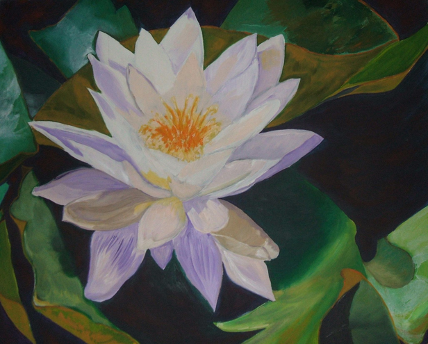 Seerose / Öl