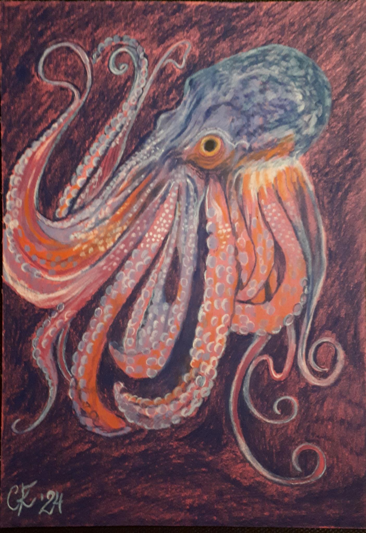 Krake / Pastell