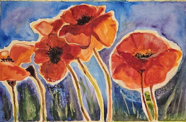 Mohnblüten / Aquarell